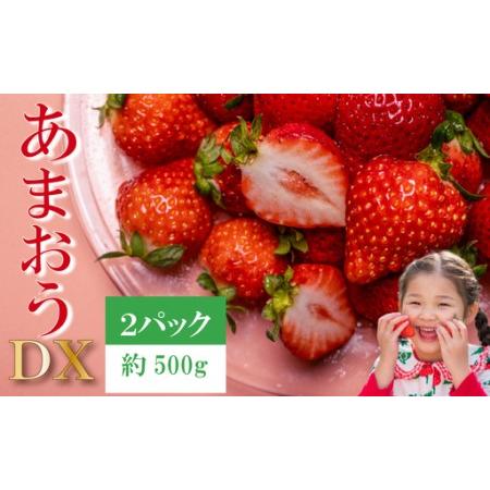 ふるさと納税 [2026年12月発送]先行予約 福岡県産 いちご あまおう 約250g×2P (約500g) |苺 イチゴ KBY 福岡県川崎町