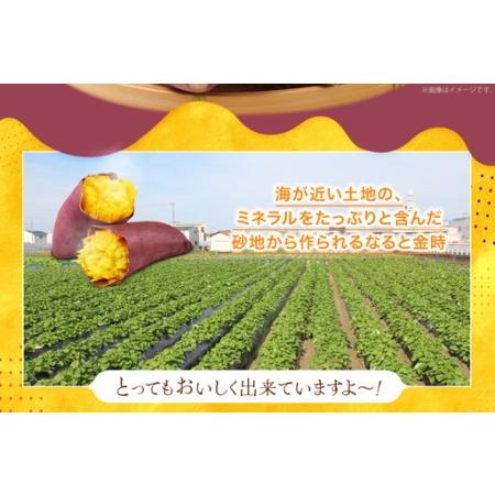 ふるさと納税 さつまいも なると金時 甘藷 10kg [増田 和記 徳島県 北島町 29bb0003] 徳島県北島町の画像