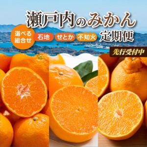 ふるさと納税 [数量限定☆先行受付]柑橘食べ比べ定期便(3種)石地みかん・せとか 各2.5kg 不知火 2kg フルーツ 果物 みかん しらぬい オレン.. 広島県三原市