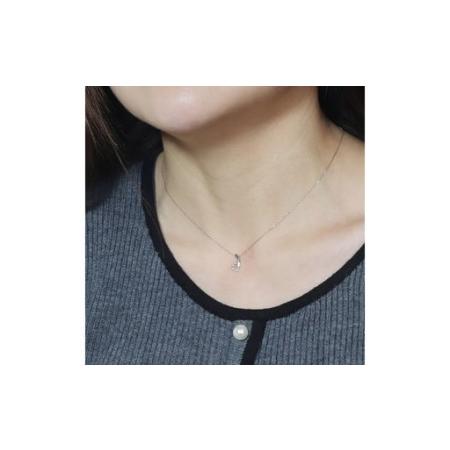 ふるさと納税 プラチナ 0.12ct グラデーションダイヤモンドペンダント 山梨県 甲斐市 BQ-204 山梨県甲斐市の画像