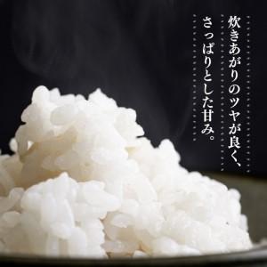 ふるさと納税 米 R7年産 彩のかがやき 5kg 2週間以内発送 | 米 埼玉県久喜市