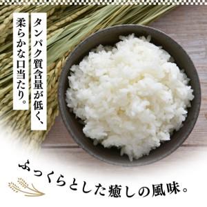 ふるさと納税 米 R7年産 彩のかがやき 5kg 2週間以内発送 | 米 埼玉県久喜市