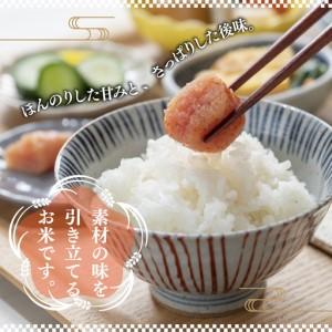 ふるさと納税 米 R7年産 彩のかがやき 5kg 2週間以内発送 | 米 埼玉県久喜市