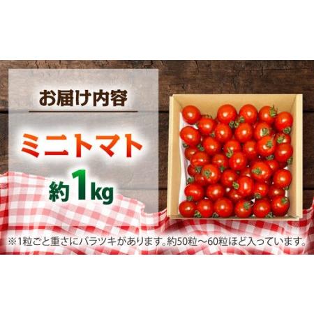 ふるさと納税 ミニトマト 1kg 野菜 トマト 愛西市 / ながたファーム[AEDT001] 愛知県愛西市_1