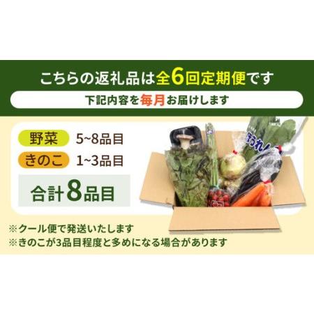 ふるさと納税 【6回定期便】野菜定期便 8品目 [SCZ029] 長崎県南島原市_2