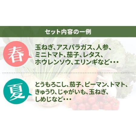 ふるさと納税 【6回定期便】野菜定期便 8品目 [SCZ029] 長崎県南島原市_3