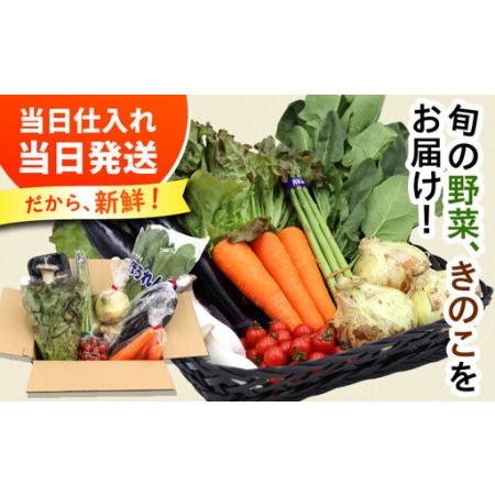 ふるさと納税 【12回定期便】お試し野菜セット 8品目 詰め合わせ / 野菜 やさい ヤサイ 旬 新鮮 / 南島原市 / 吉岡青果[SCZ030] 長崎県南島原市の画像