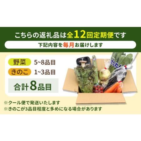 ふるさと納税 【12回定期便】お試し野菜セット 8品目 詰め合わせ / 野菜 やさい ヤサイ 旬 新鮮 / 南島原市 / 吉岡青果[SCZ030] 長崎県南島原市の画像