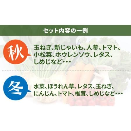ふるさと納税 【12回定期便】お試し野菜セット 8品目 詰め合わせ / 野菜 やさい ヤサイ 旬 新鮮 / 南島原市 / 吉岡青果[SCZ030] 長崎県南島原市の画像