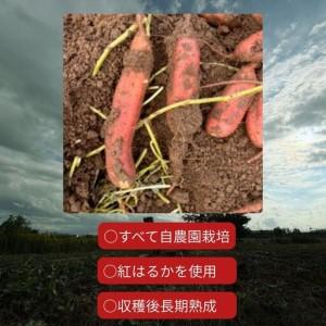 ふるさと納税 ＊先行予約＊ 堀川農園 芋と1/2 壺焼き蜜芋 冷凍【017S166】 新潟県三条市_4