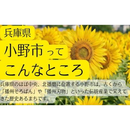 ふるさと納税 ガラス系コーティング SGX01 ユーザー用180ｍL施工セット・施工クロス付き 兵庫県小野市の画像