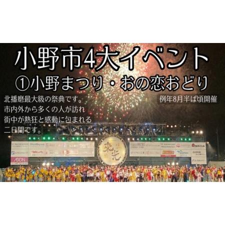 ふるさと納税 ガラス系コーティング SGX01 ユーザー用180ｍL施工セット・施工クロス付き 兵庫県小野市の画像
