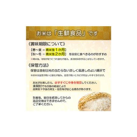 ふるさと納税 【令和8年産 新米 先行予約】 【金賞受賞農家】 特別栽培米 つや姫（玄米）30kg 《令和8年9月下旬〜発送》 『あおきライスファーム.. 山形県南陽市の画像