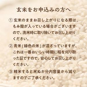 ふるさと納税 令和7年産 山形県産 特別栽培米 つや姫 玄米30kg 1袋 山形県最上町の画像