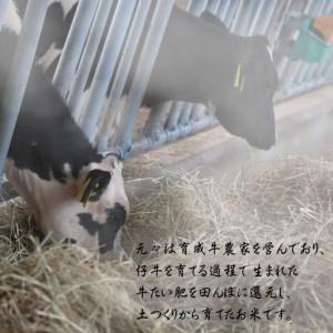 ふるさと納税 【令和8年産 先行予約】【11月以降順次発送】平泉町産ひとめぼれ玄米30kg【aoki018】 岩手県平泉町の画像