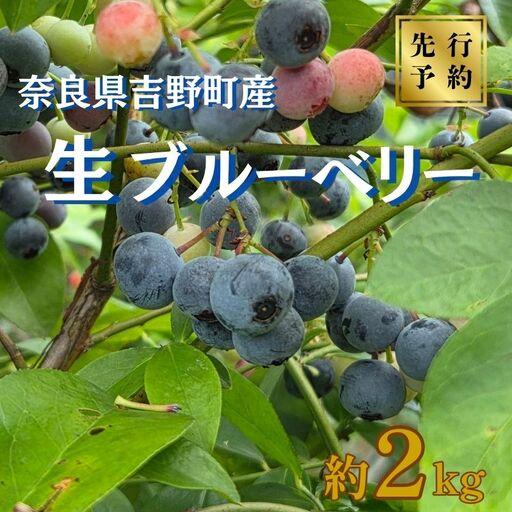 ふるさと納税 [先行予約]ブルーベリー 2kg [BRDO001] 生ブルーベリー 奈良県吉野町