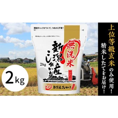 ふるさと納税 31-M21【無洗米】新潟県産コシヒカリ2kg 新潟県胎内市