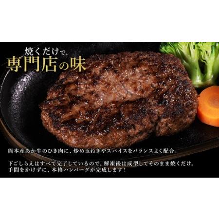 ふるさと納税 【ふるさと納税】 熊本産 あか牛 ハンバーグベース 1kg 生ハンバーグ ハンバーグベース ハンバーグのタネ 冷凍 国産牛 赤身 アレン.. 熊本県水上村_1
