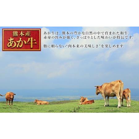 ふるさと納税 【ふるさと納税】 熊本産 あか牛 ハンバーグベース 1kg 生ハンバーグ ハンバーグベース ハンバーグのタネ 冷凍 国産牛 赤身 アレン.. 熊本県水上村_4