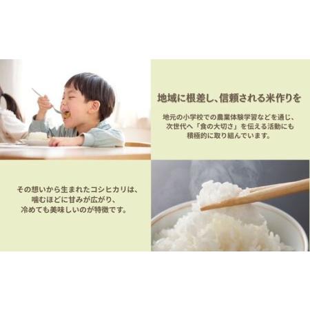 ふるさと納税 【先行予約】 令和8年産 コシヒカリ 玄米 30kg げんまい 石川県 小松市 石川県小松市の画像