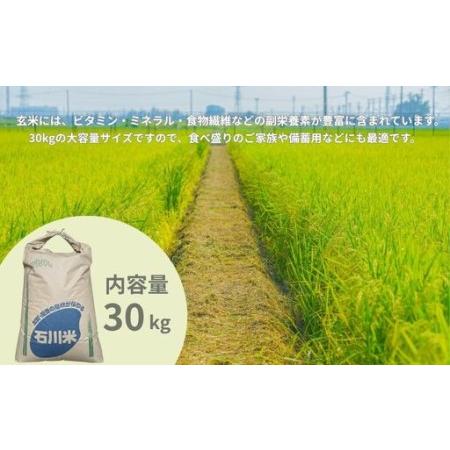 ふるさと納税 【先行予約】 令和8年産 コシヒカリ 玄米 30kg げんまい 石川県 小松市 石川県小松市の画像