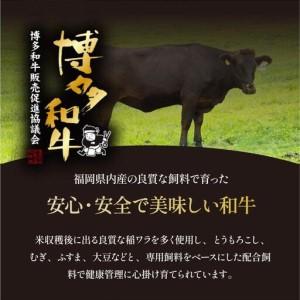 ふるさと納税 博多和牛 ヒレ シャトーブリアン（ダイヤモンドカット） 200g×1枚【久田精肉店】 福岡県那珂川市_3