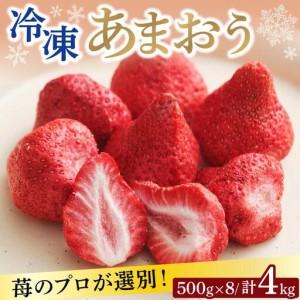 ふるさと納税 寄附額改定↓ 自然環境農法 福岡県産 冷凍あまおう 4kg|苺 いちご イチゴ 完熟 あかい まるい おおきい うまい フルーツ 果物 デ.. 福岡県那珂川市