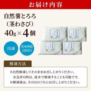 ふるさと納税 自然薯茎わさびとろろ 40g×4個 福岡県那珂川市_1