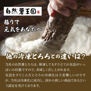 ふるさと納税 自然薯茎わさびとろろ 40g×4個 福岡県那珂川市_3