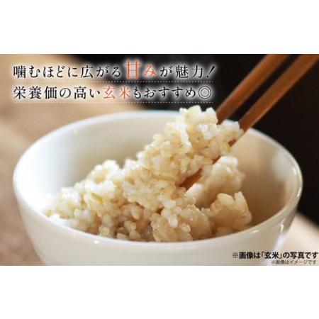 ふるさと納税 米 定期便 ひゃくまん穀 「弘宝米」 玄米 10kg ×3回 総計 30kg [中西農場 石川県 宝達志水町 38601372] 石川県宝達志水町