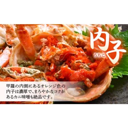ふるさと納税 《冷凍》獲れたて!茹でたての 越前せいこがに 小 2杯 越前がに メス せいこがに　[m17-a081] 福井県美浜町_2