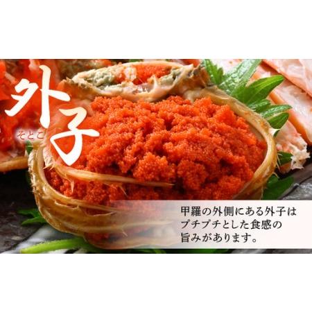 ふるさと納税 《冷凍》獲れたて!茹でたての 越前せいこがに 小 2杯 越前がに メス せいこがに　[m17-a081] 福井県美浜町_3