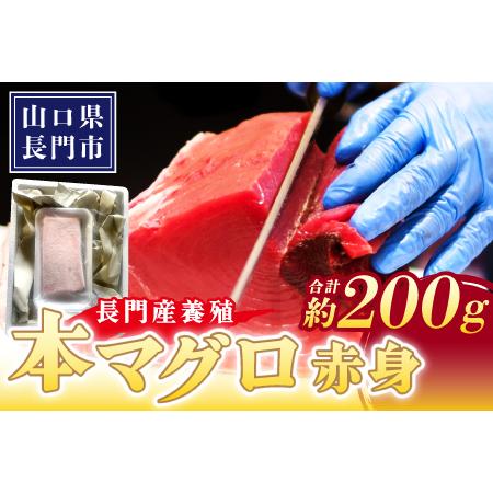 ふるさと納税 長門産養殖 本マグロ 赤身柵 200g[マグロ 赤身 マグロ刺身 刺身 柵 さく まぐろ 鮪 山口県 長門市 希少 脂乗り抜群 とろける 急速.. 山口県長門市