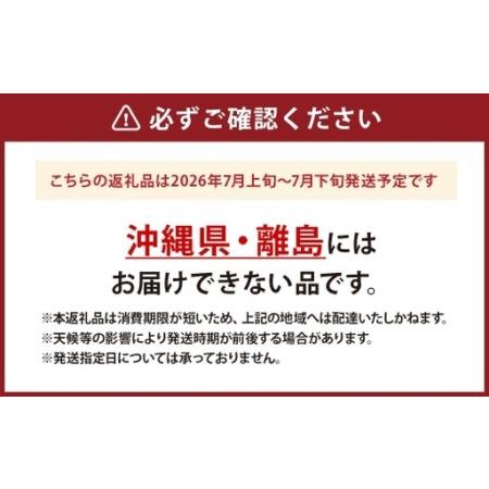 ふるさと納税 桃 （ 化粧箱入り ） 約1.8kg （ 5〜6玉 ） 甘い ジューシー もも モモ 果物 くだもの 果実 フルーツ 化粧箱 【2026年7月上旬〜7月.. 山梨県中央市の画像