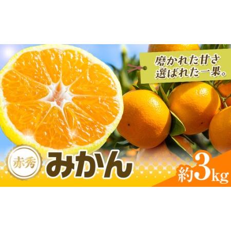 ふるさと納税 先行予約 赤秀 みかん 旬 柑橘 蜜柑 鶴田農園 約3kg [9月中旬-1月下旬頃出荷]極早生 早生 中生 晩生 フルーツ 果物 秋 旬 熊本県.. 熊本県荒尾市