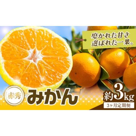 ふるさと納税 [3か月定期便] 先行予約 赤秀 みかん 旬 柑橘 蜜柑 鶴田農園 約3kg×3回 [11月上旬-1月下旬頃出荷]極早生 早生 中生 晩生 .. 熊本県荒尾市