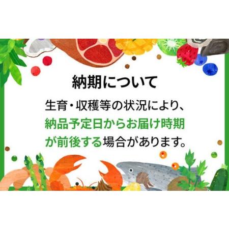 ふるさと納税 はちみつ 天然十和田 アカシア蜂蜜 500g＋TASTING HONEY ひとくちはちみつ 岩蜜 8本セット 秋田県小坂町の画像