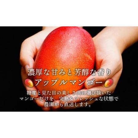ふるさと納税 ＜先行予約＞糖度平均15度以上！高評価の希少な特大宮崎完熟マンゴー（4L×1玉入）一般用・美品　濃厚な甘さと酸味のバランス.. 宮崎県串間市_1
