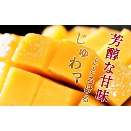 ふるさと納税 ＜先行予約＞糖度平均15度以上！高評価の希少な特大宮崎完熟マンゴー（4L×1玉入）一般用・美品　濃厚な甘さと酸味のバランス.. 宮崎県串間市_2