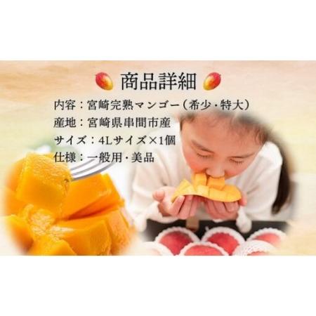 ふるさと納税 ＜先行予約＞糖度平均15度以上！高評価の希少な特大宮崎完熟マンゴー（4L×1玉入）一般用・美品　濃厚な甘さと酸味のバランス.. 宮崎県串間市_4
