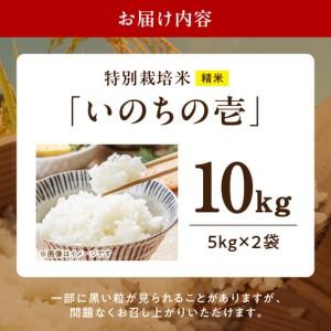 ふるさと納税 【R8年産新米 先行受付】特別栽培米「いのちの壱」（10kg）＜農家直送＞ ［208K02］ 希少米 10kg 米 新米 精米 白米 ご飯 国産 産.. 愛知県小牧市_4