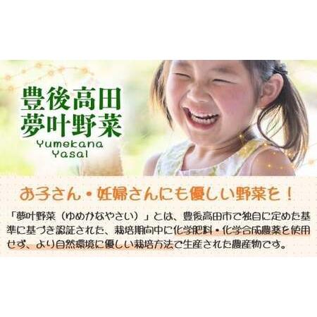 ふるさと納税 季節の夢叶 夏 野菜・米ボックス | 夏野菜 豊後高田市 大分県豊後高田市_1