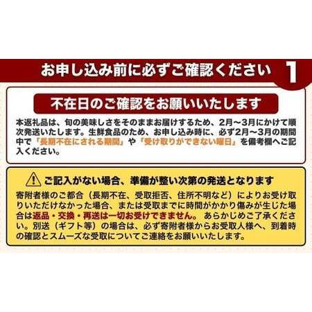 ふるさと納税 季節の夢叶 夏 野菜・米ボックス | 夏野菜 豊後高田市 大分県豊後高田市_2