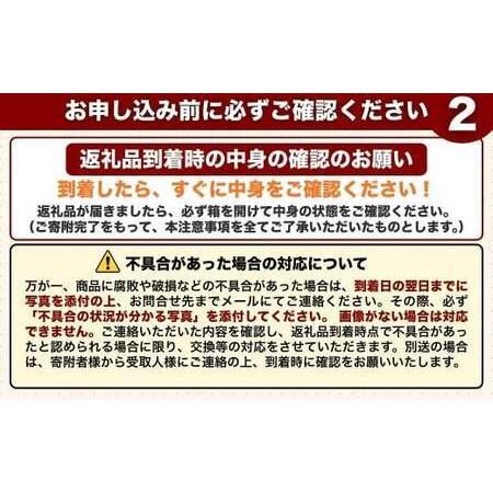 ふるさと納税 季節の夢叶 夏 野菜・米ボックス | 夏野菜 豊後高田市 大分県豊後高田市_3