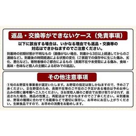 ふるさと納税 季節の夢叶 夏 野菜・米ボックス | 夏野菜 豊後高田市 大分県豊後高田市_4
