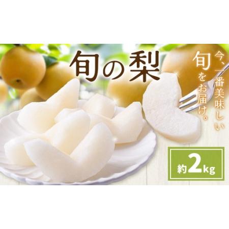 ふるさと納税 先行予約 旬の梨 梨 約2kg 株式会社エフビーネット[8月上旬-10月下旬頃出荷]熊本県 氷川町 果物 フルーツ 熊本県産 青果物 和梨 .. 熊本県氷川町