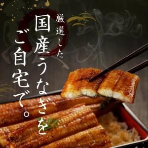 ふるさと納税 【土用の丑の日】国産うなぎ蒲焼 1600g以上（大サイズ10尾） 大阪府泉佐野市_1