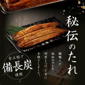 ふるさと納税 【土用の丑の日】国産うなぎ蒲焼 1600g以上（大サイズ10尾） 大阪府泉佐野市_2
