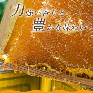 ふるさと納税 純粋天然 山口のはちみつ1kg 2本 山口県萩市_2