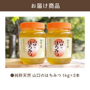 ふるさと納税 純粋天然 山口のはちみつ1kg 2本 山口県萩市_3